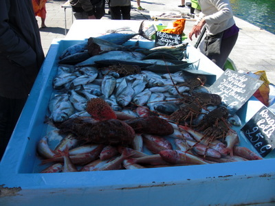 fish